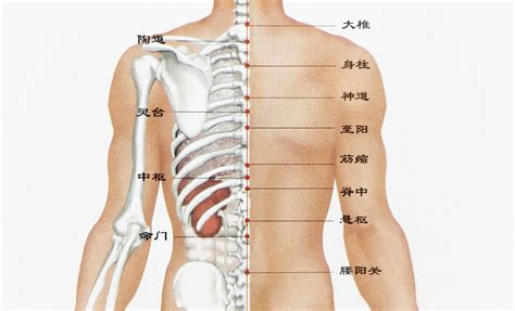 脊椎上有痣|背上长痣好不好 背上长痣有什么寓意